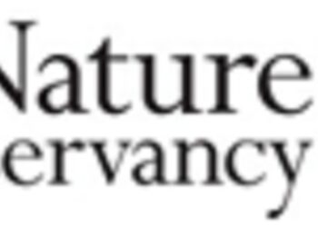 SiteRight tool that will support rapid renewable energy deployment launched