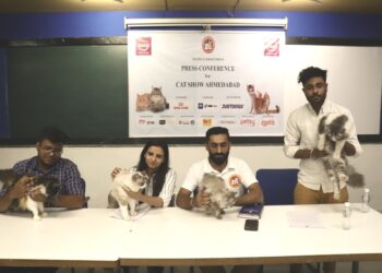 Feline Club of India, to organise Championship Cat show in Ahmedabad