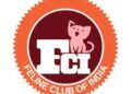Feline Club of India, to organise Championship Cat show in Ahmedabad