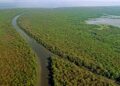 MAGICAL MANGROVES PHASE 4: THE CAMPAIGN BY GODREJ & BOYCE AND WWF-INDIA SET TO ENGAGE OVER 20000 CITIZENS ON THE CONSERVATION OF MANGROVES