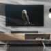 Sennheiser expands the AMBEO Soundbar line-up; launches AMBEO Soundbar Plus and AMBEO Sub in the Indian market