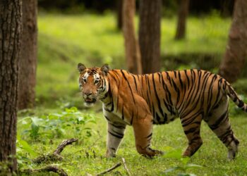 Karnataka Tourism Roadshow in Surat to Unveil its Diverse Tourism Offerings