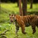 Karnataka Tourism Roadshow in Surat to Unveil its Diverse Tourism Offerings