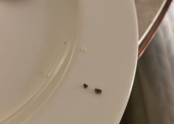 Customer found Stones & hair in food dish at ITC Narmada, Ahmedabad