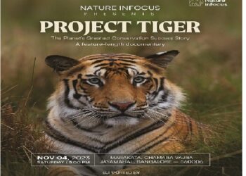 Nature in Focus launches their first production “Project Tiger”