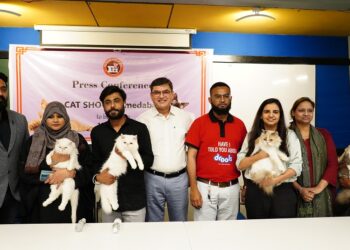 Feline Club of India, to organise Championship Cat show in Ahmedabad