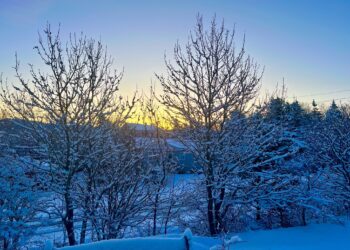 Record low snowfall sounds alarm for water security in Indo-Pak region