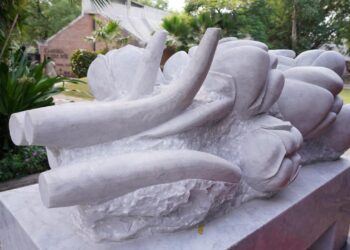 StoneX Stone Portraits arrives in Ahmedabad: A Multisensory Celebration of Marble, Memory & Craft