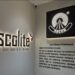 Ascolite Inaugurates Its First State-of-the-Art Display Centre in Surat, Strengthening Focus on System-Based Construction