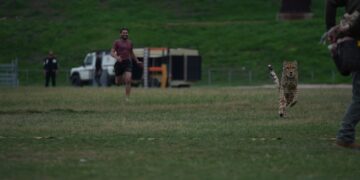 Four times Orhan Awatramani aka Orry proved he’s the dark horse of COLORS’ ‘Khatron Ke Khiladi’
